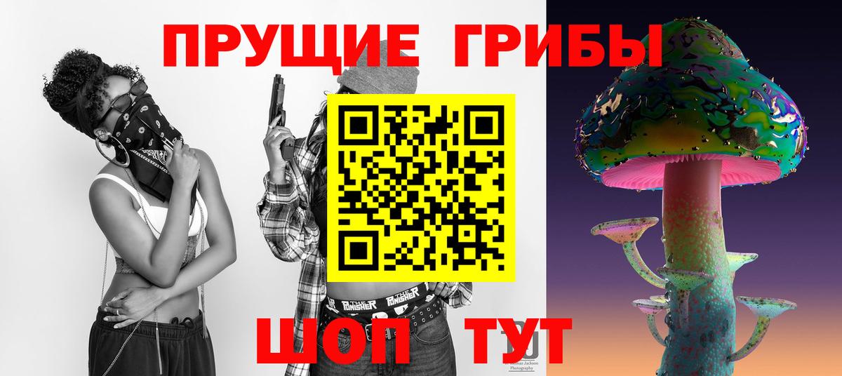 Удомля  Галлюциногенные грибы прущие грибы  Вход с VPN 
